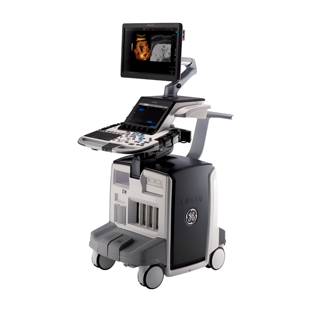 GE Logiq E10