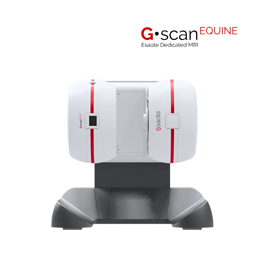 Esaote G-scan Equine