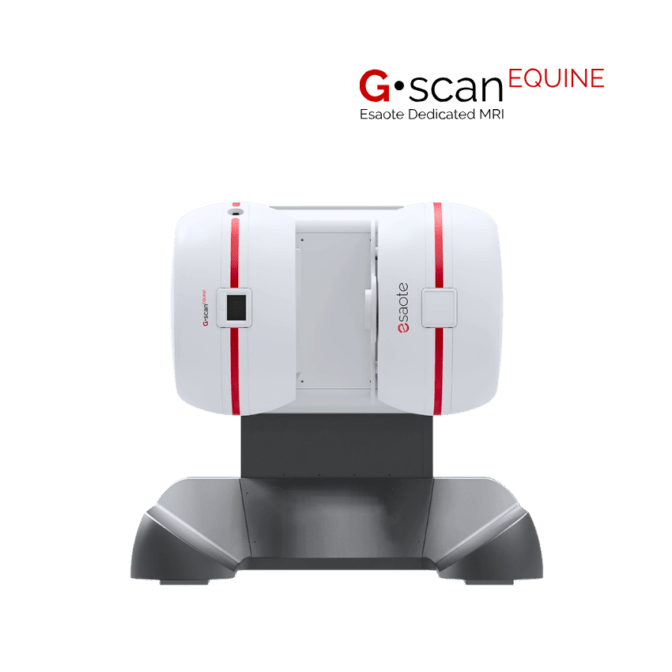 VET Esaote-g-scan-equine MRI sustav za snimanje konja prodaja zagreb medexpert